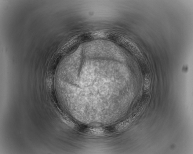 X0000098100409200805021114
