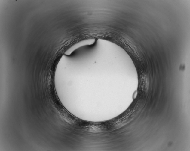 X0000098100412200805021114