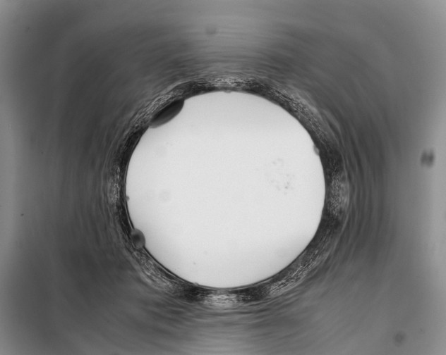 X0000098100413200805021114