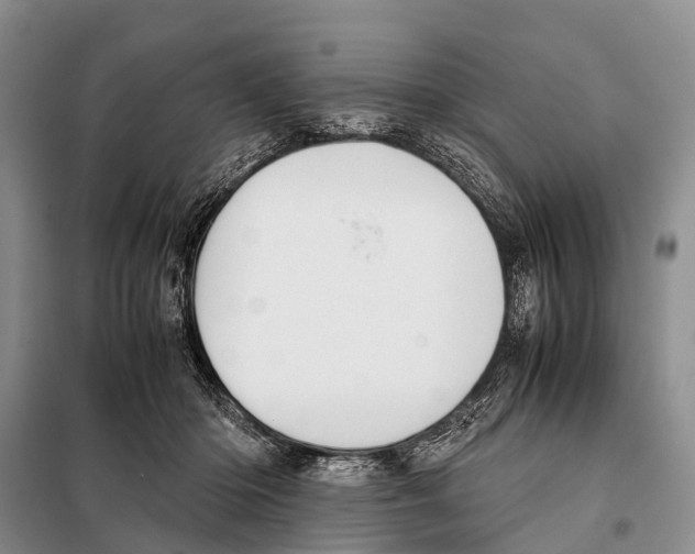 X0000098100414200805021114