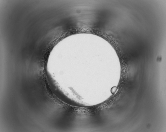 X0000098100415200805021114