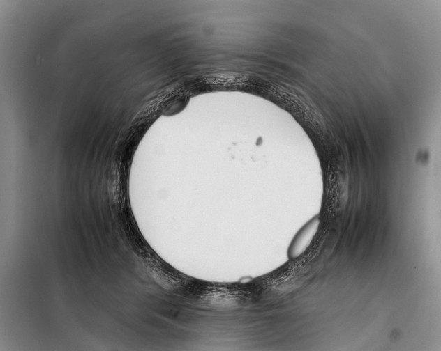 X0000098100416200805021114