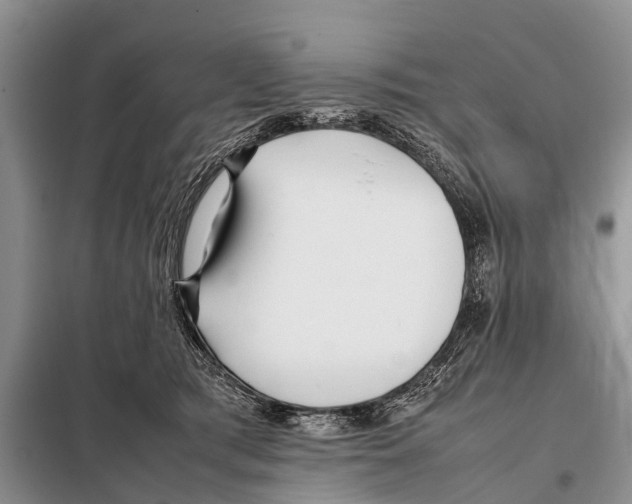 X0000098100417200805021114