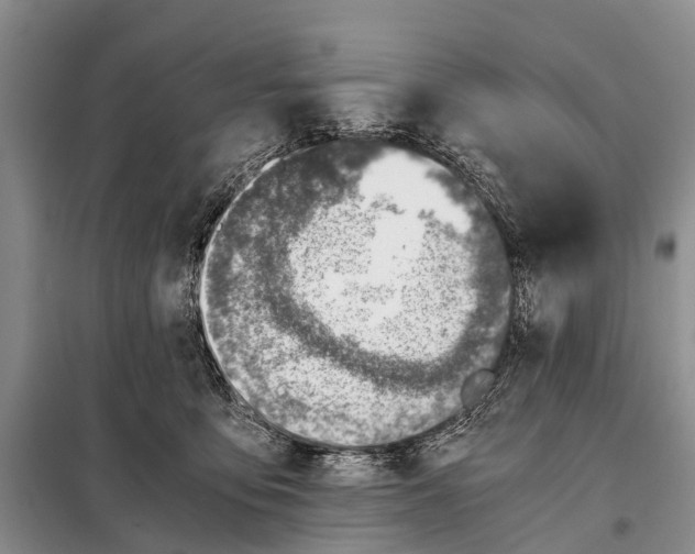 X0000098100419200805021114