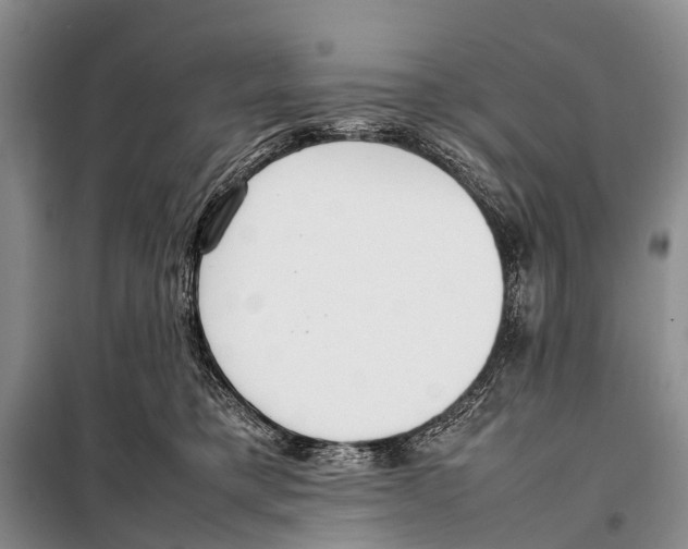 X0000098100421200805021114