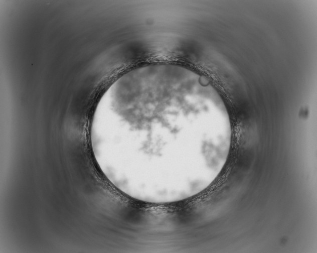 X0000098100423200805021114