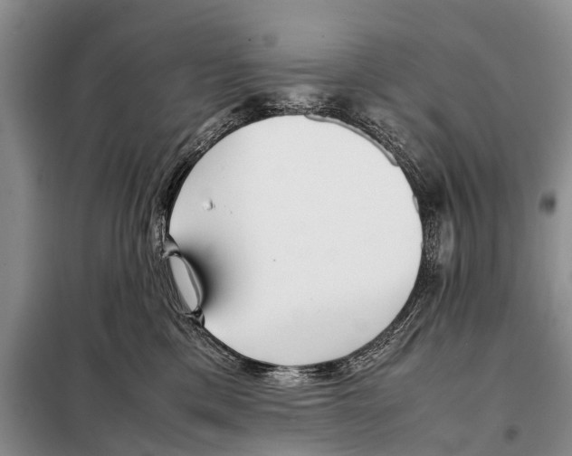 X0000098100425200805021114