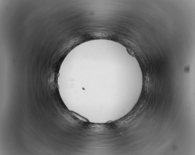 X0000098100428200805021114