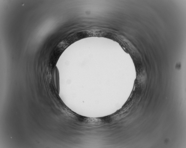 X0000098100429200805021114