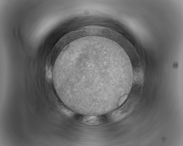X0000098100431200805021114