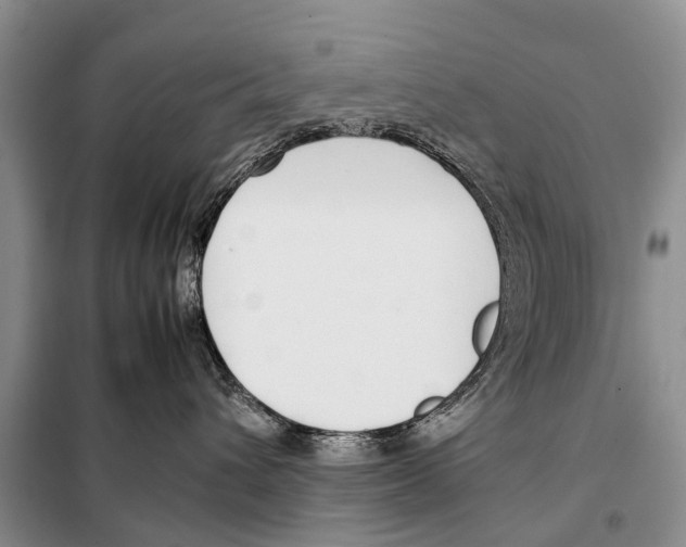 X0000098100432200805021113