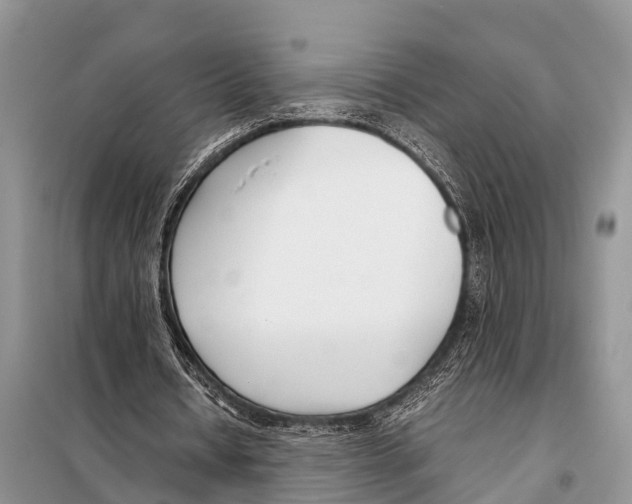 X0000098100434200805021113