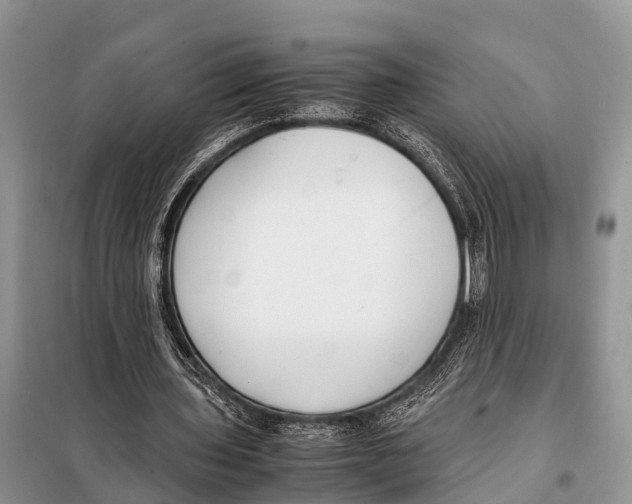 X0000098100435200805021113