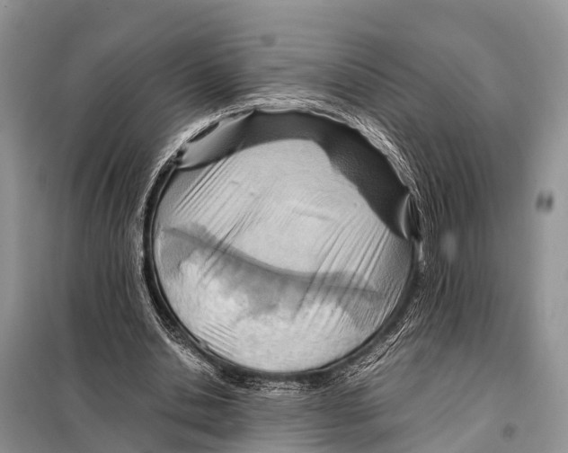 X0000098100438200805021113