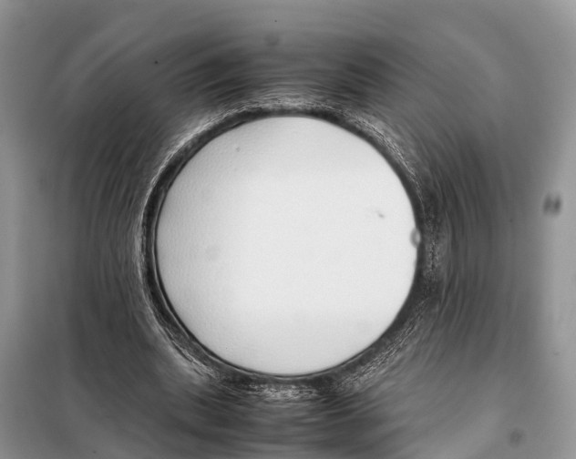 X0000098100439200805021113