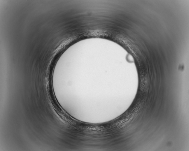 X0000098100443200805021113