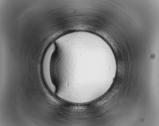 X0000098100445200805021113