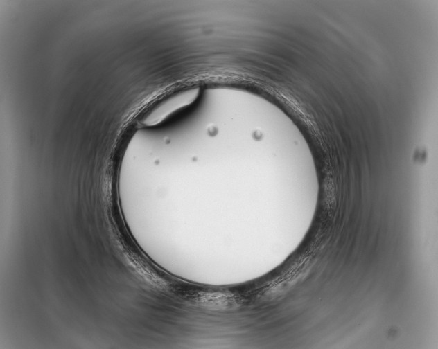 X0000098100446200805021113