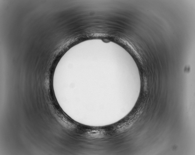 X0000098100447200805021113