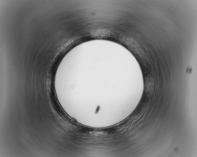 X0000098100448200805021113