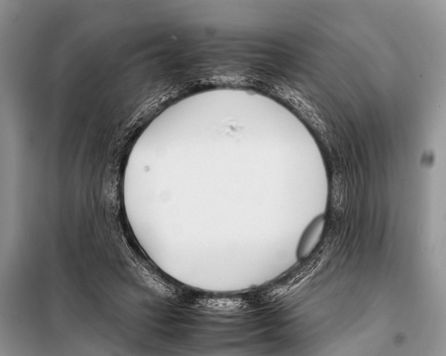 X0000098100449200805021113