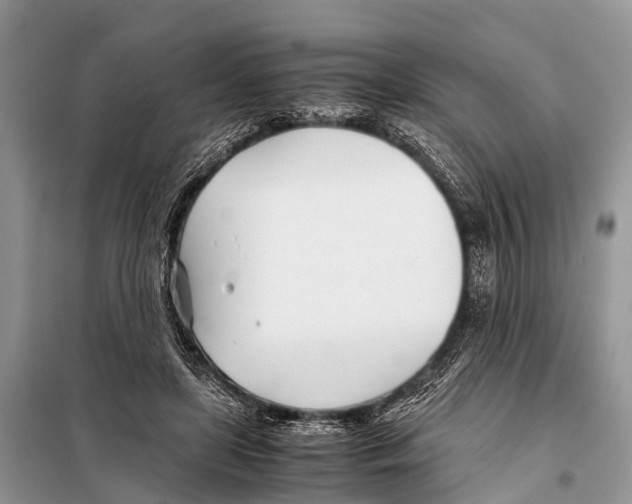 X0000098100451200805021113