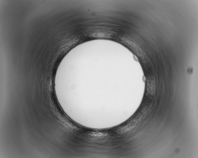 X0000098100453200805021113