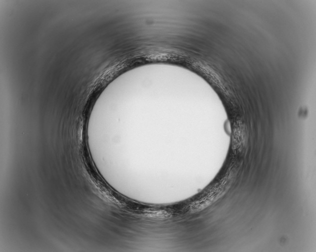 X0000098100454200805021113