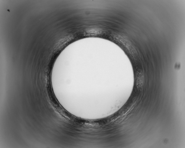 X0000098100455200805021113