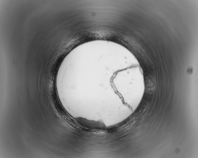 X0000098100456200805021113