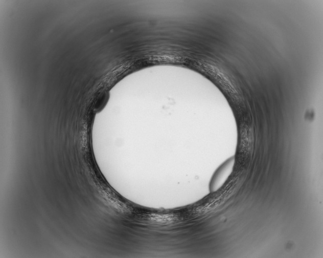 X0000098100457200805021113