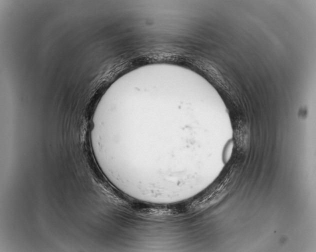 X0000098100458200805021113