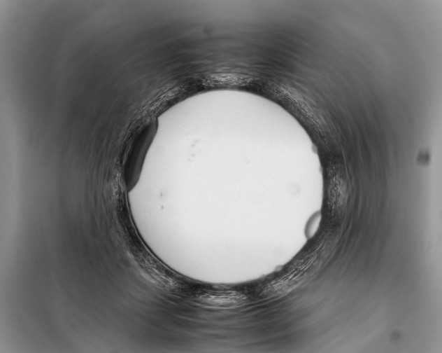 X0000098100459200805021113