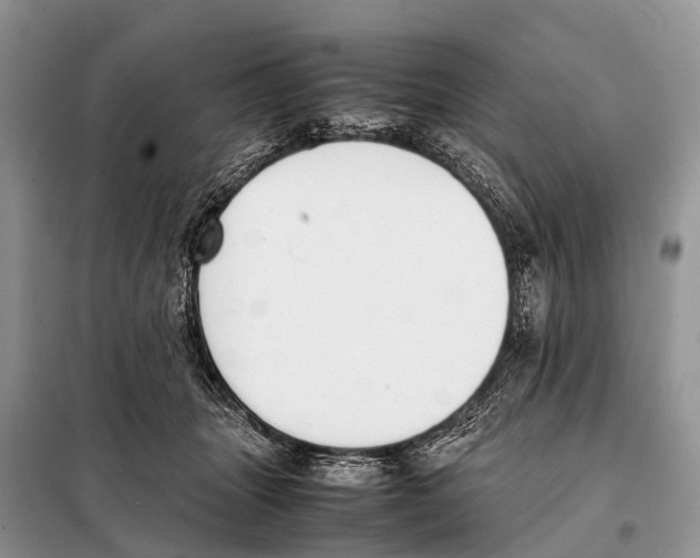 X0000098100463200805021113