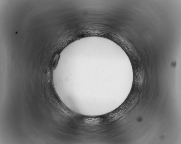 X0000098100465200805021113