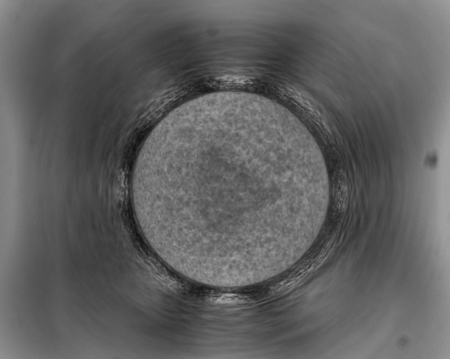 X0000098100467200805021113