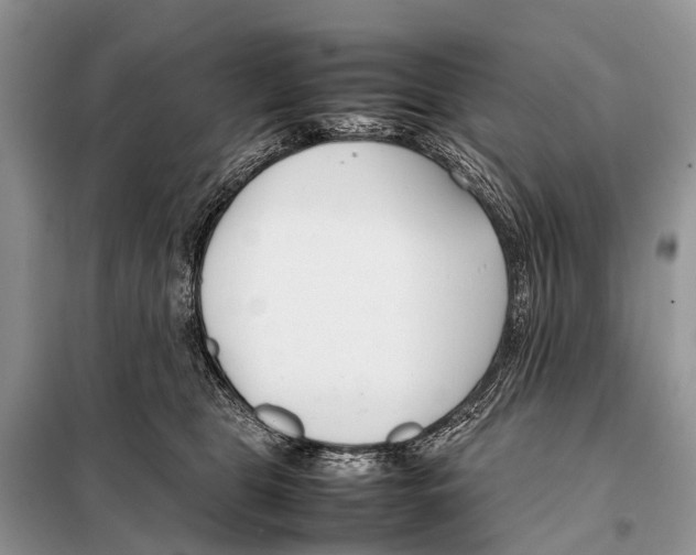 X0000098100469200805021113