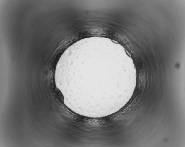 X0000098100473200805021113