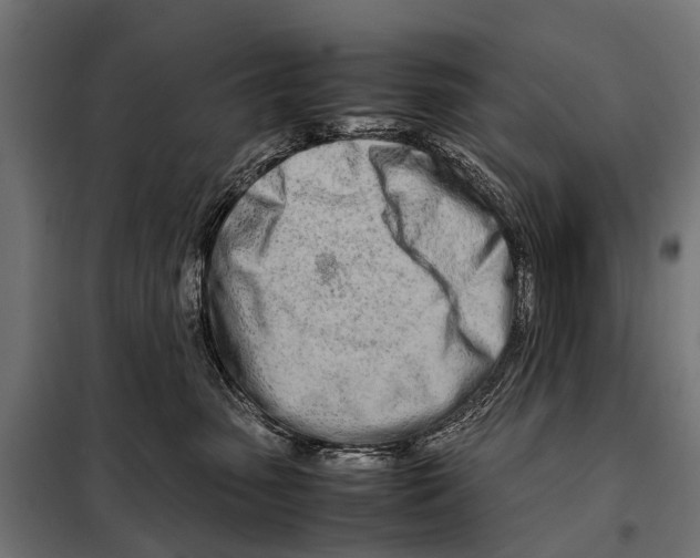 X0000098100475200805021113