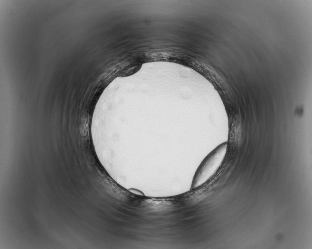 X0000098100477200805021113