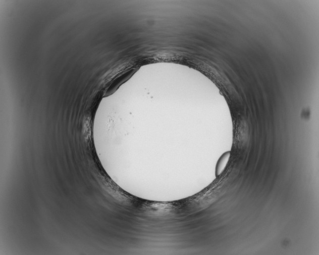 X0000098100478200805021113
