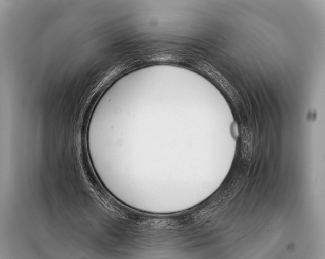 X0000098100482200805021113