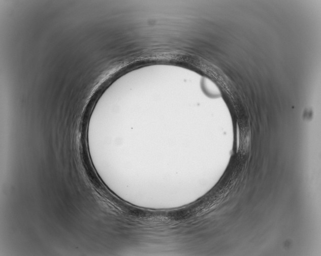 X0000098100483200805021113