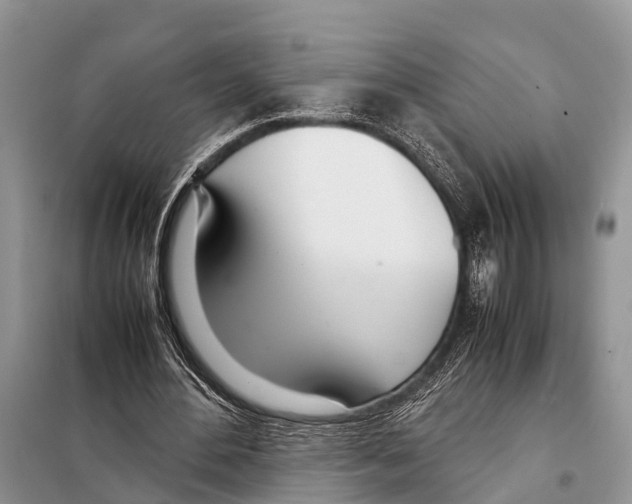 X0000098100484200805021113