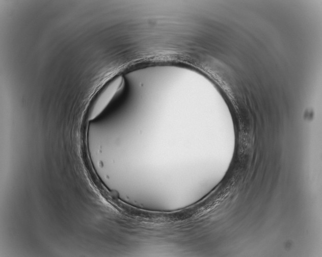 X0000098100485200805021113