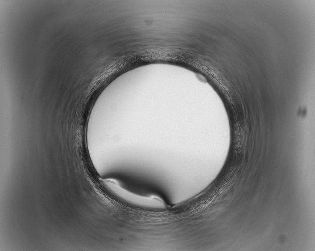 X0000098100489200805021113