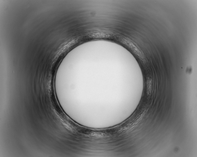 X0000098100490200805021113