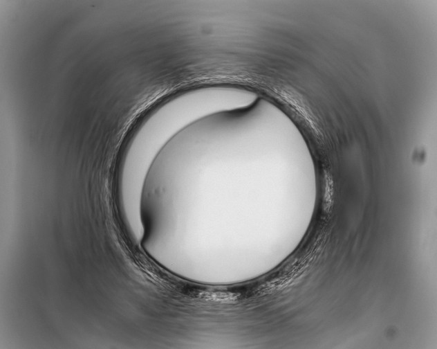 X0000098100491200805021113