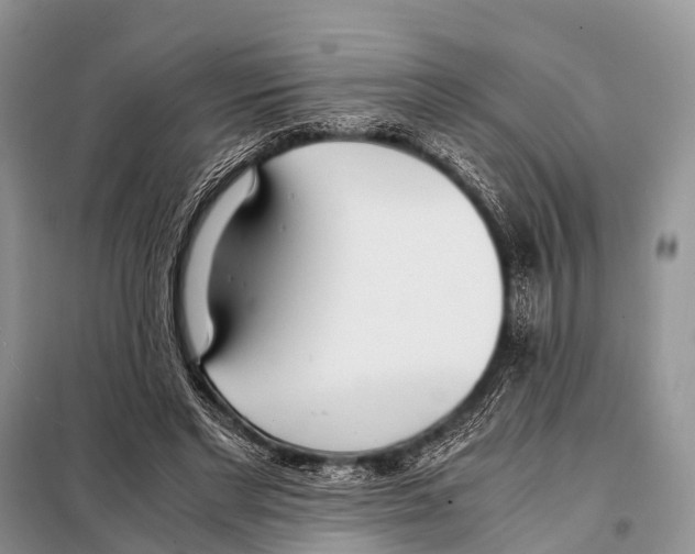 X0000098100493200805021113