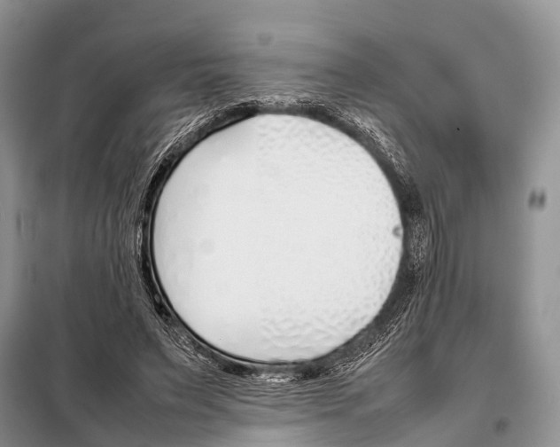 X0000098100495200805021113